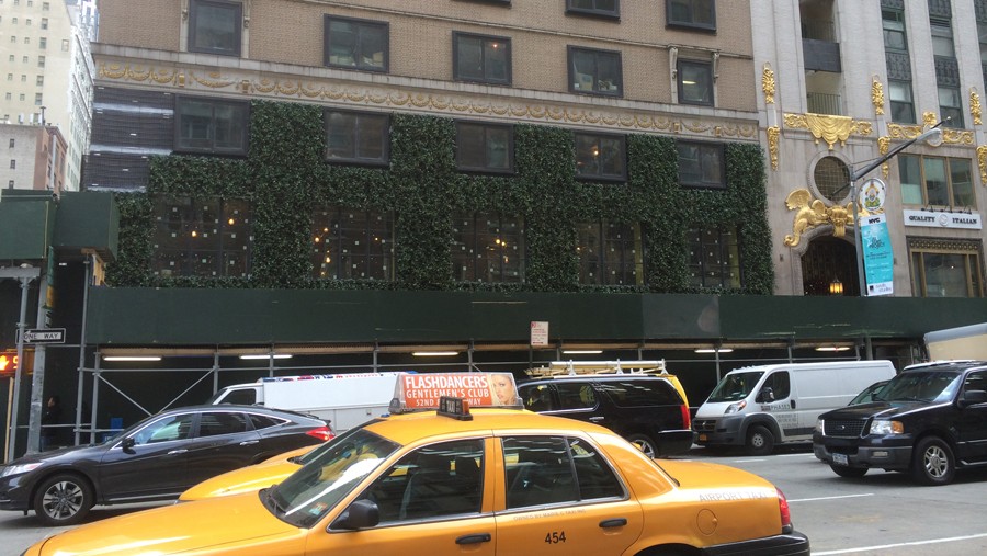 Green Wall Project in New York City Sponzilli Landscape Group