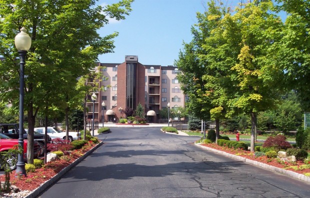 Commercial Landscape Maintenance Commercial Landscape Maintenance