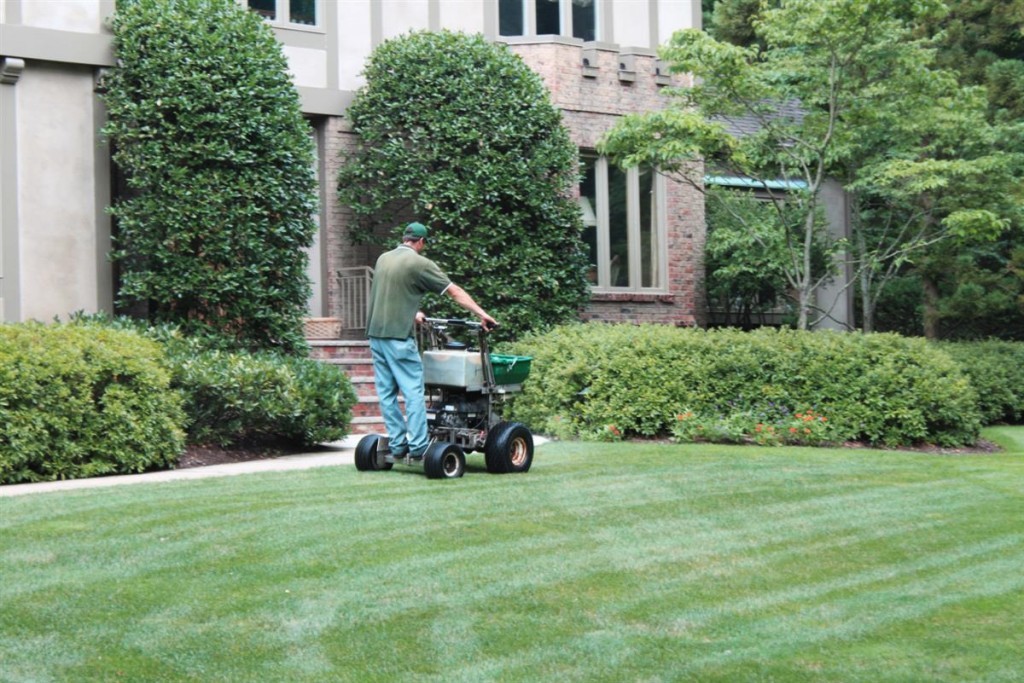 Photo Gallery Sponzilli Landscape Group