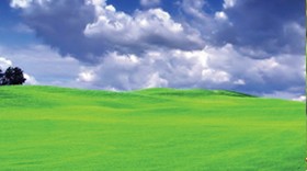 Organic Land Care Organic Land Care
