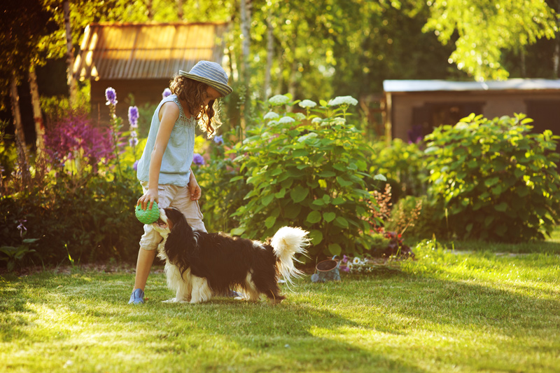 Girl playing with her dog in landscaped yard