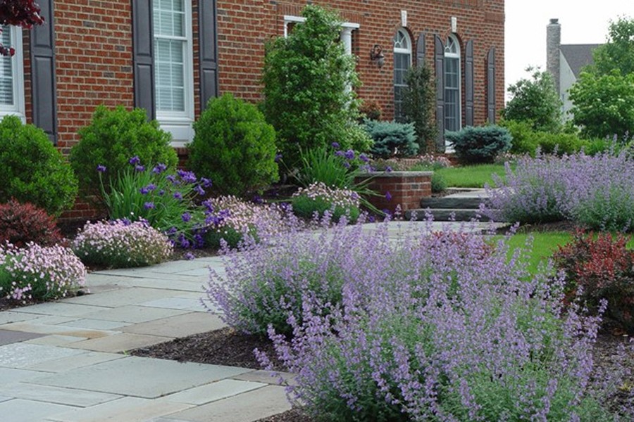 Spring Landscaping Ideas - Design a Planting Scheme