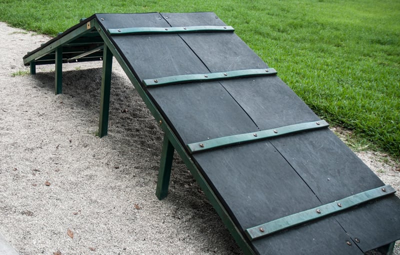 Pet Obstacle Course Ramp in Yard