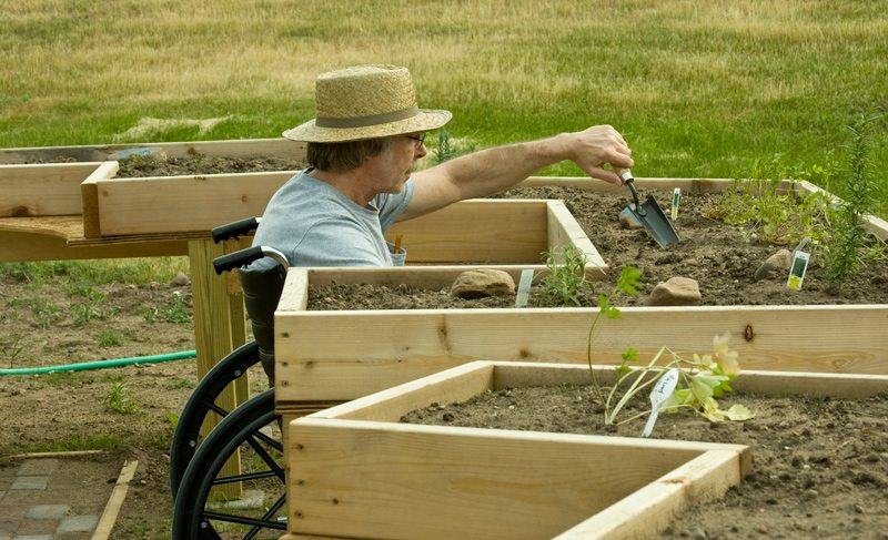 Man in Wheelchair Gardening with Raised Bed Garden