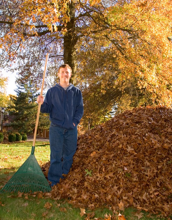 Young Man Next to Pile of Raked Leaves