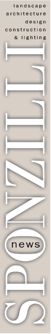 Sponzilli News