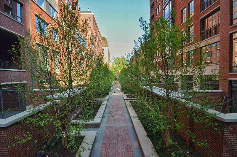 Beneficial Impact of Urban Landscaping Sponzilli Landscape Group