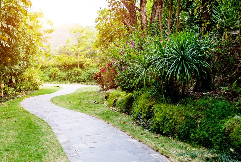 Gentle Sloping Path Through a Garden
