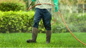 watering-the-lawn