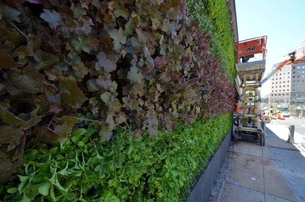 Construction on Green Wall at the World Trade Center